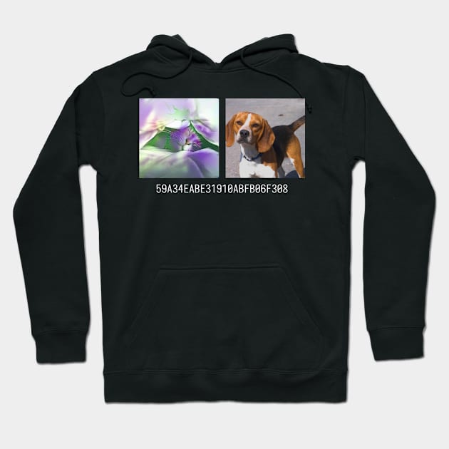 fe5dbbce Hoodie by This Hash Collision Is Not ...